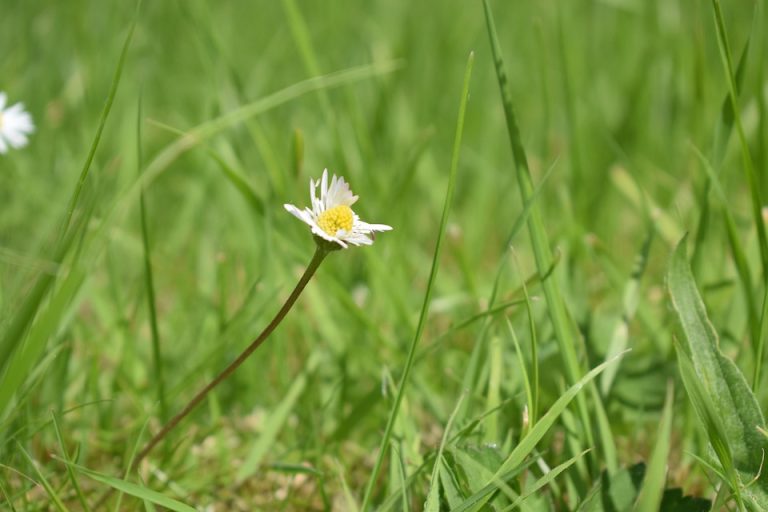 Beachfront bed and breakfast Belize