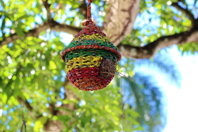 Placencia accommodations